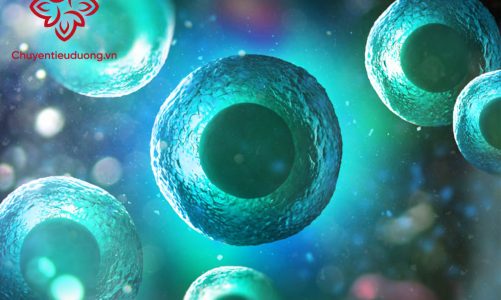 Tế bào gốc, bước tiến mới trong điều trị tiểu đường tuýp 1